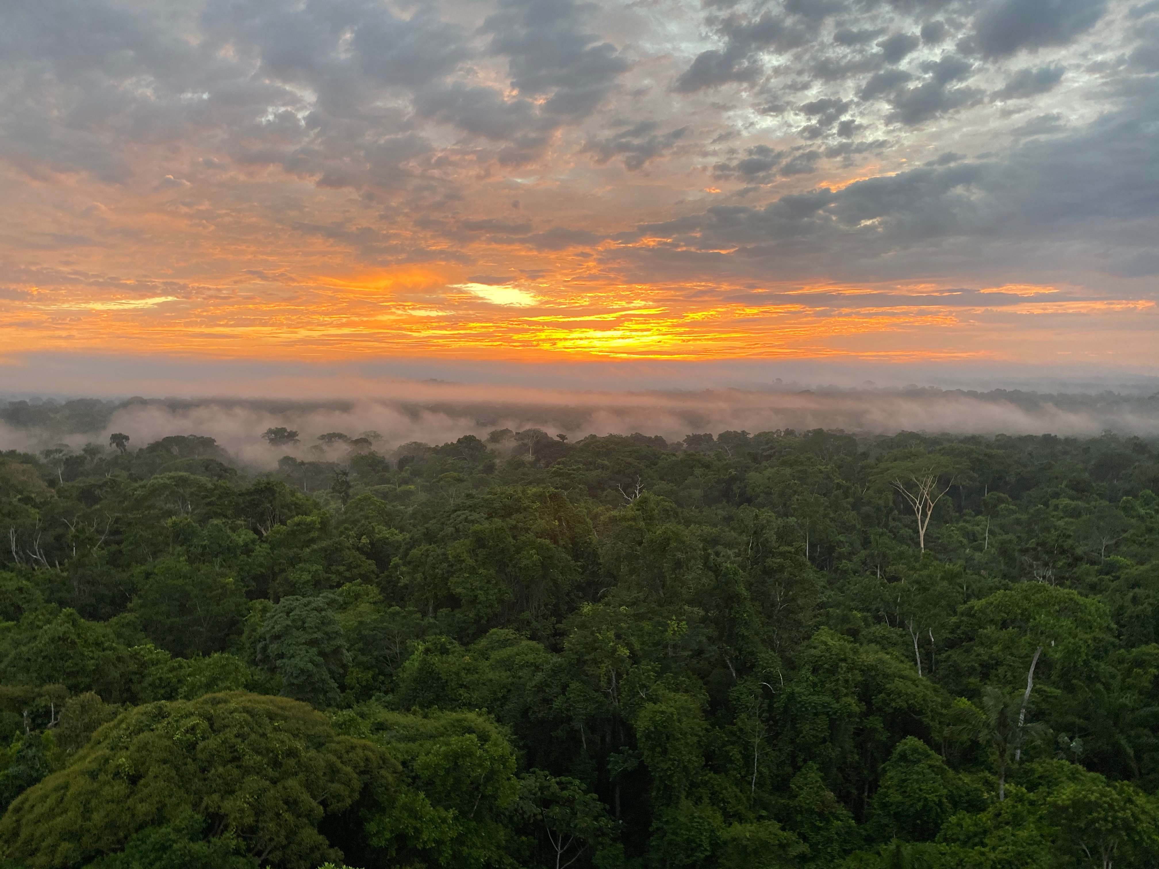Cristalino Lodge-浴室