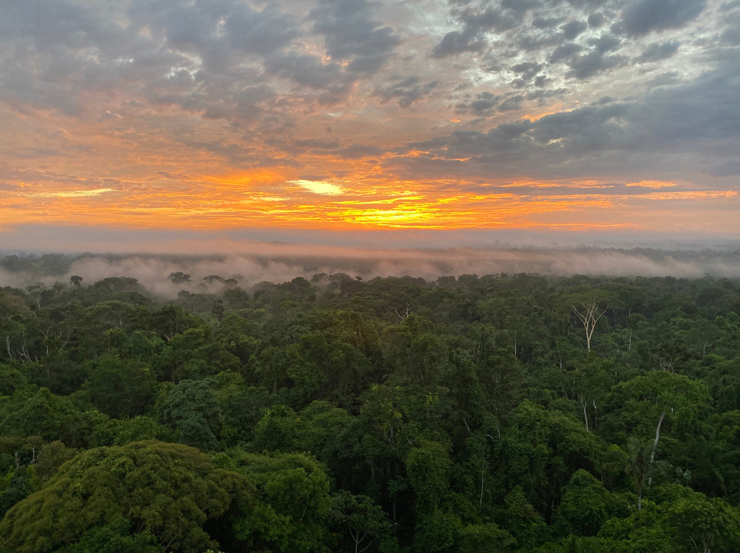 Cristalino Lodge主图