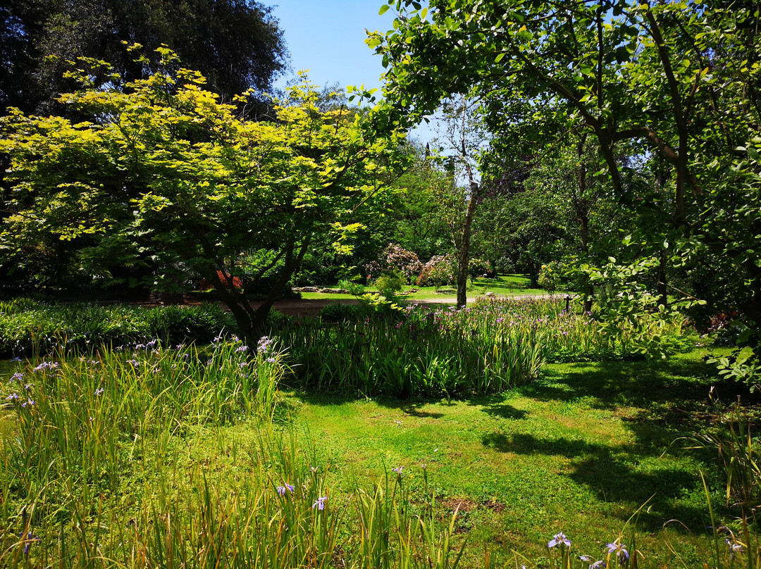 宁法花园 - 自然纪念碑景点图片