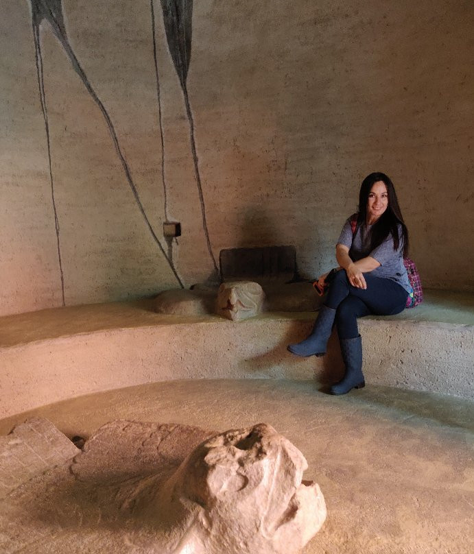 Museo Luis Mario Schneider景点图片