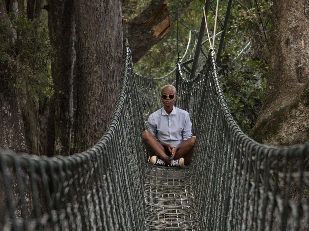 Ngare Ndare Forest Reserve-Meru Town必去景点