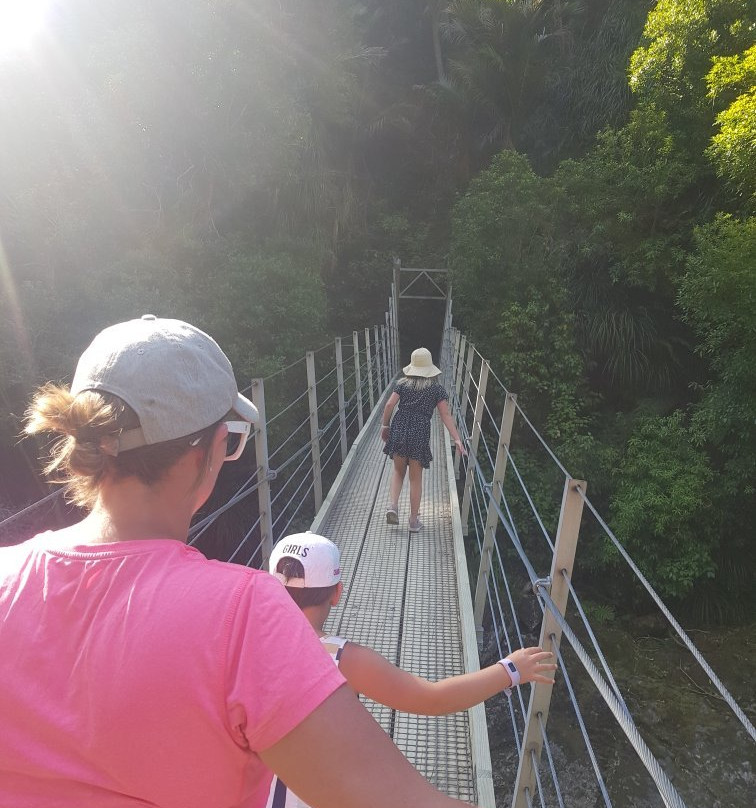 Wainui Falls Track景点图片