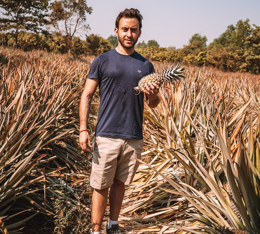 SvayChek Organic Farm-暹粒必去景点