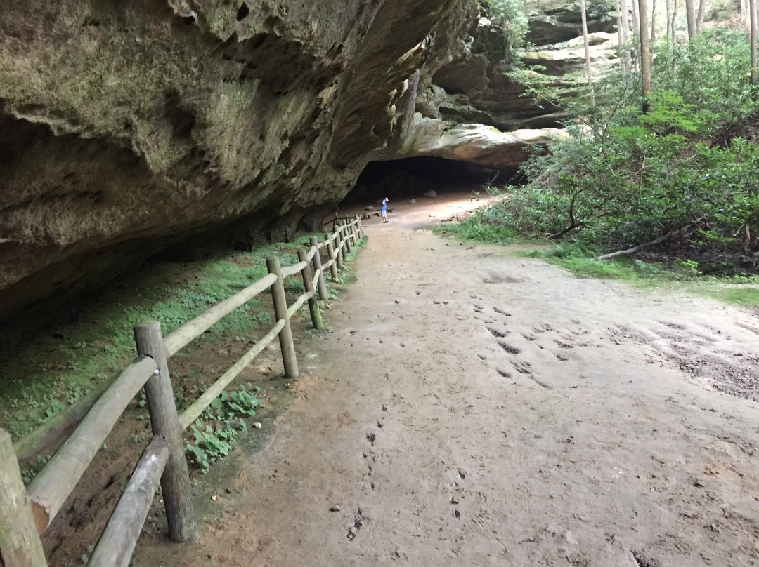 Pickett CCC Memorial State Park景点图片