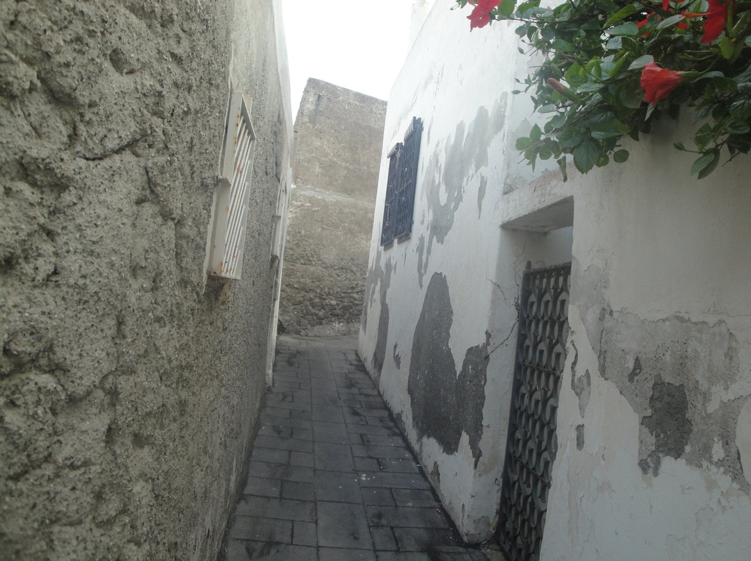 Chiesa di San Vincenzo景点图片