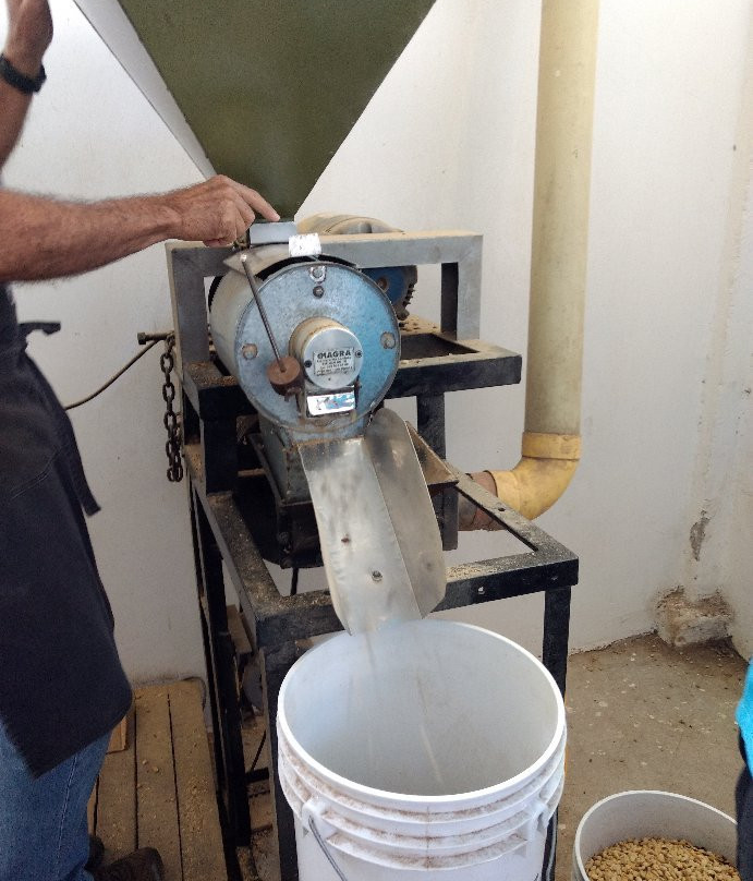 Luna Park旅游攻略图片