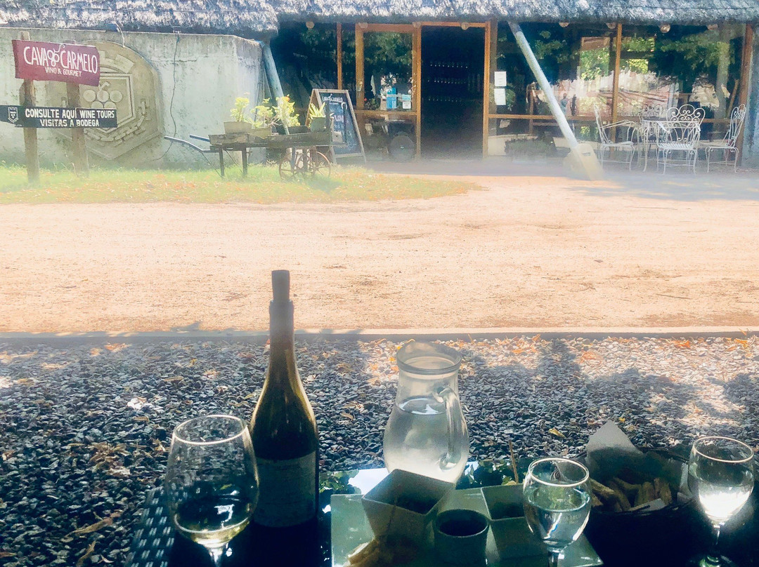 Bodega Familia Irurtia-Carmelo必去景点