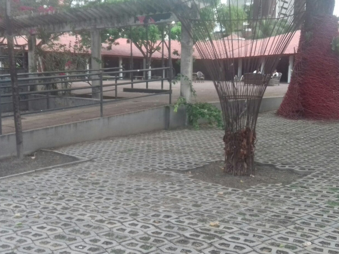 Praça Luíza Távora-福塔莱萨必去景点