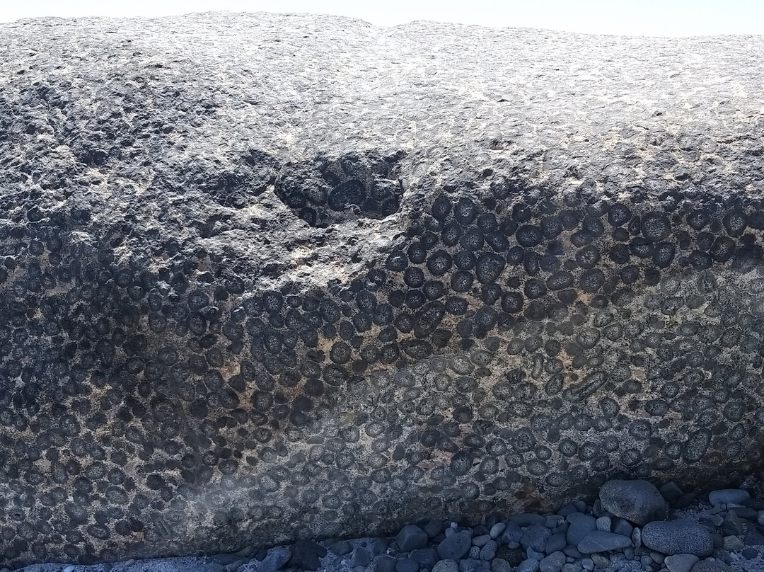 Orbicular Granite Nature Sanctuary-Caldera必去景点