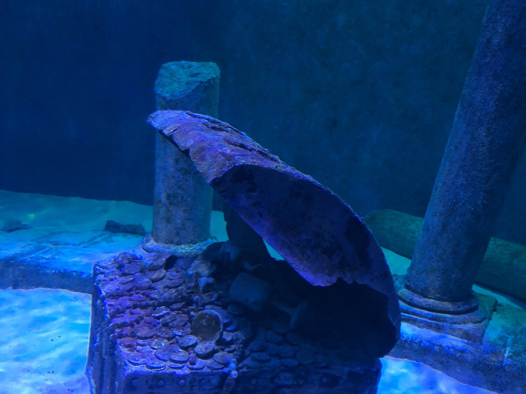 Isfahan Aquarium-Isfahan必去景点