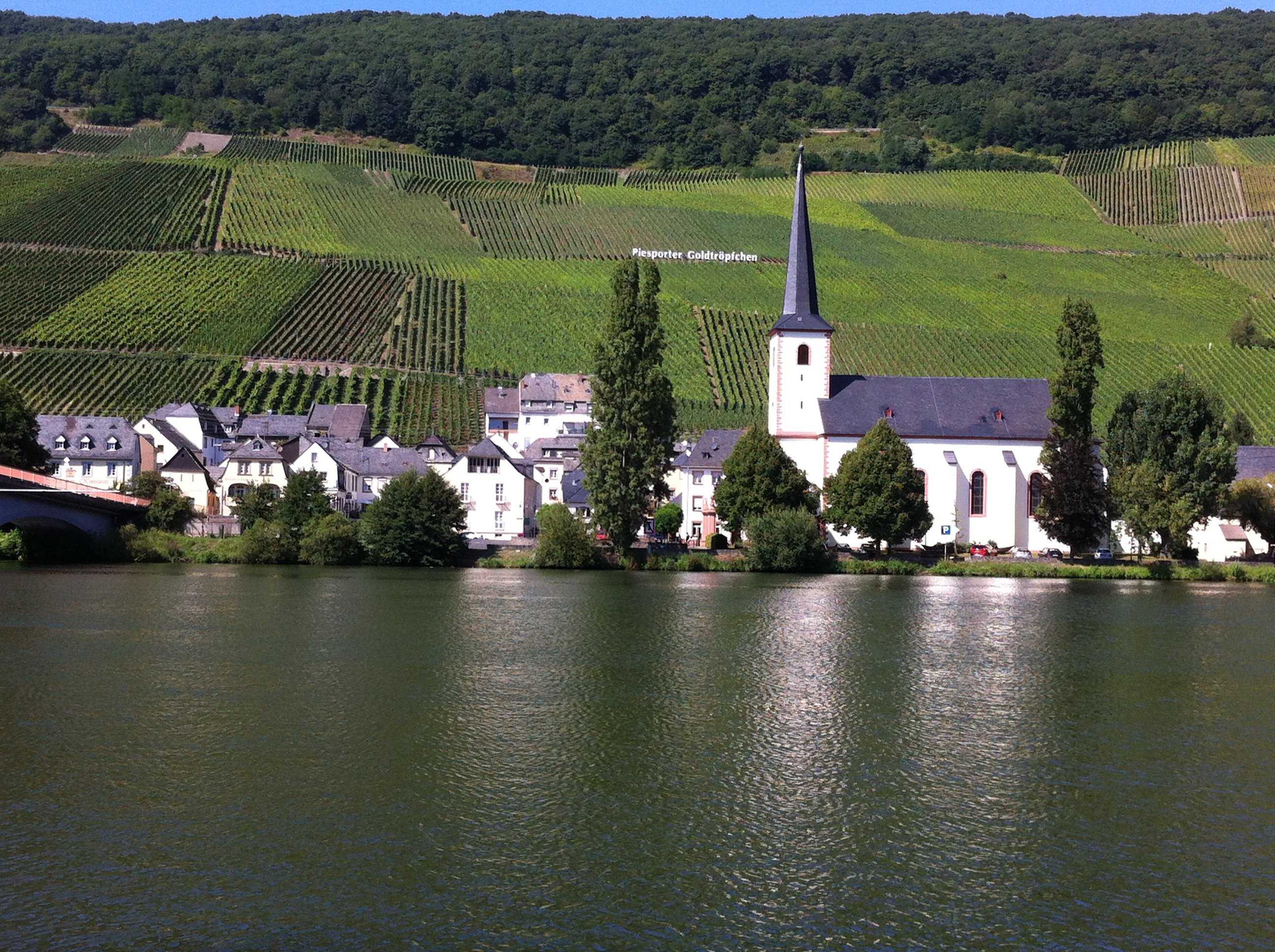 Weinhaus Piesporter Goldtröpfchen-官方