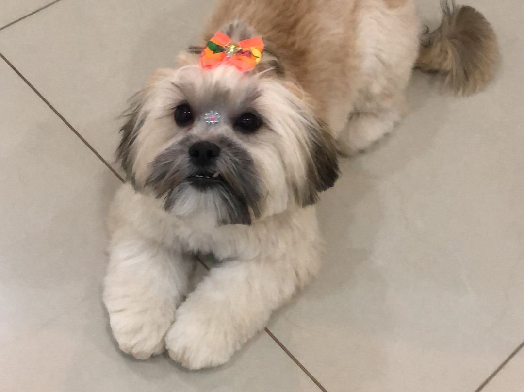 Praia Prainha-Caraguatatuba必去景点