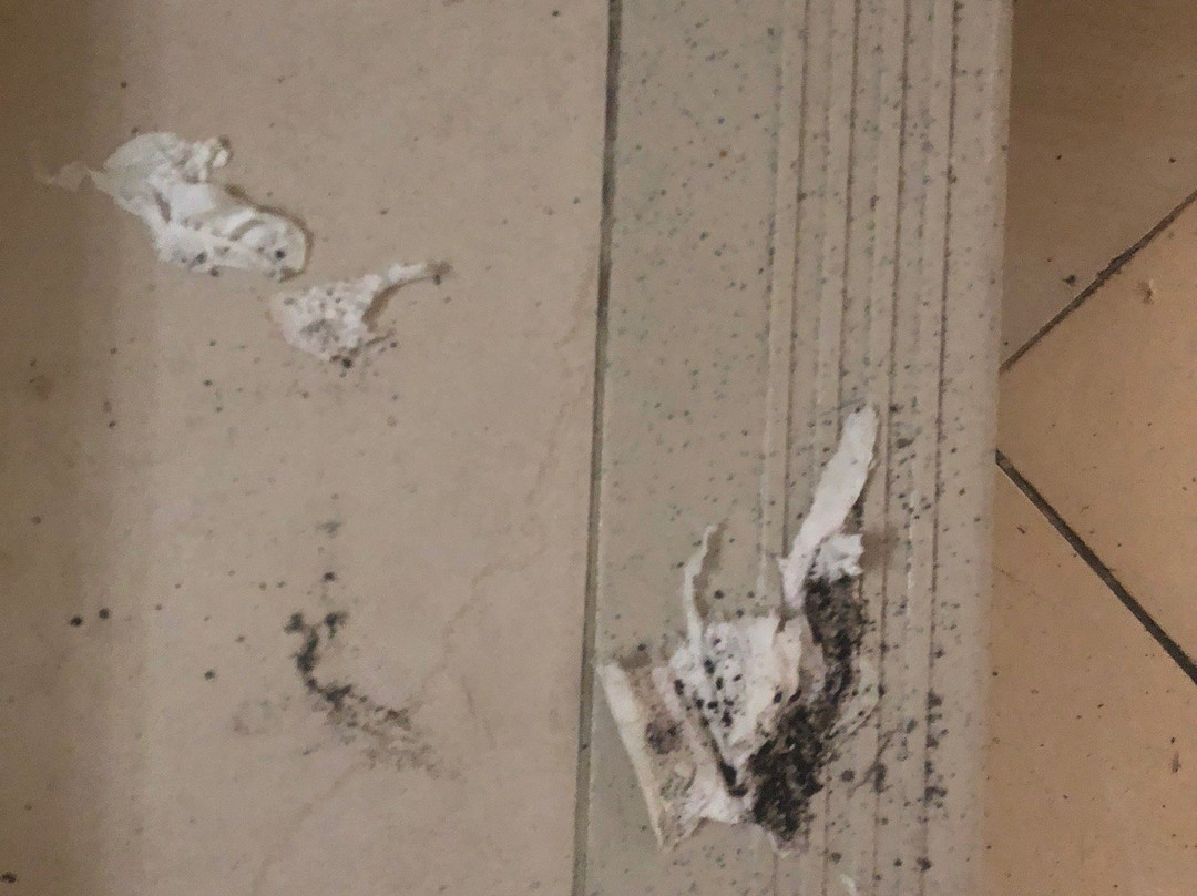 Swarhaloka Residence主图