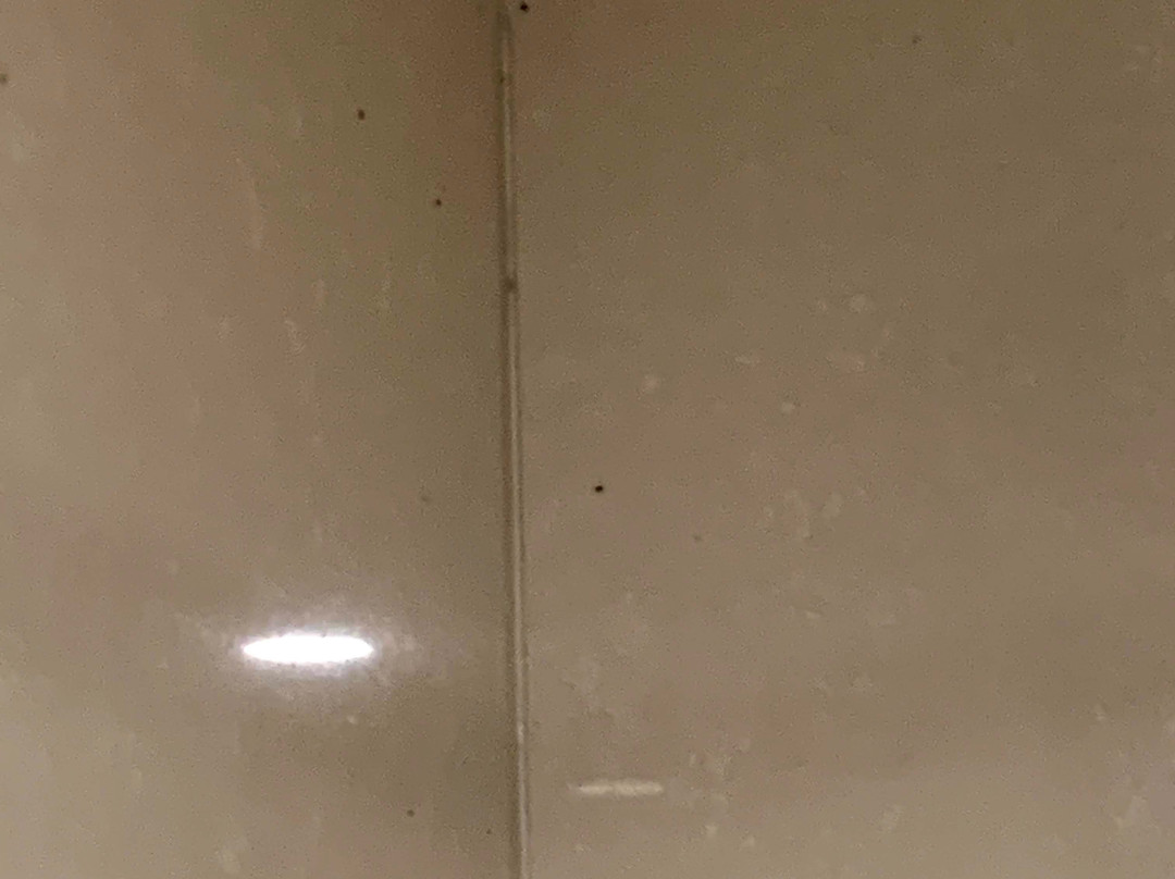 Raj Park Tirupati主图