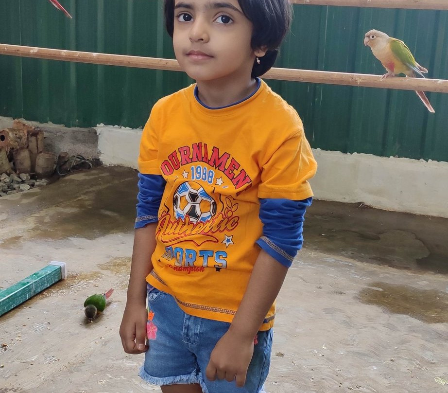 Nisargadhama Exotic Bird Park-Baichanalli必去景点