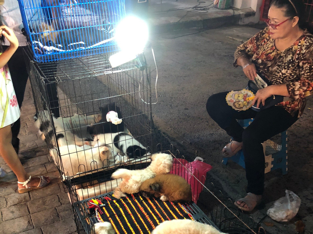 Songkhla Tae Raek Walking street景点图片