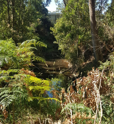 Sisters Beach旅游攻略图片