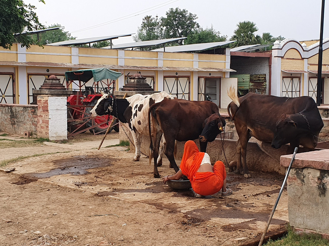 Bhanwar Vilas Palace主图