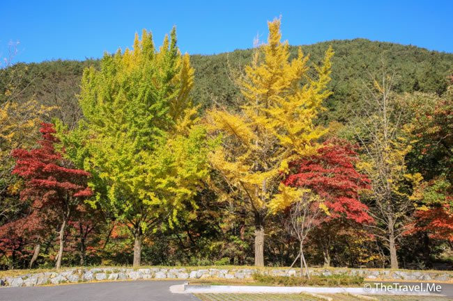 Jirisan National Park-河东郡必去景点