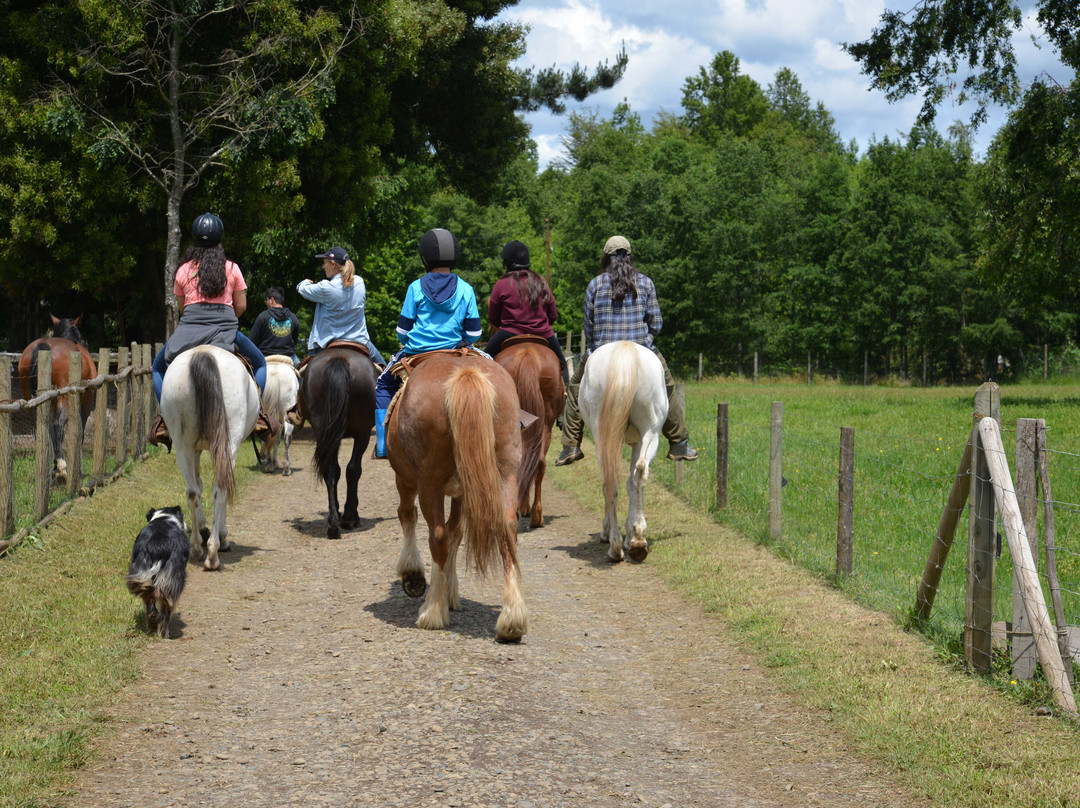 Equspatagonia-特木科必去景点