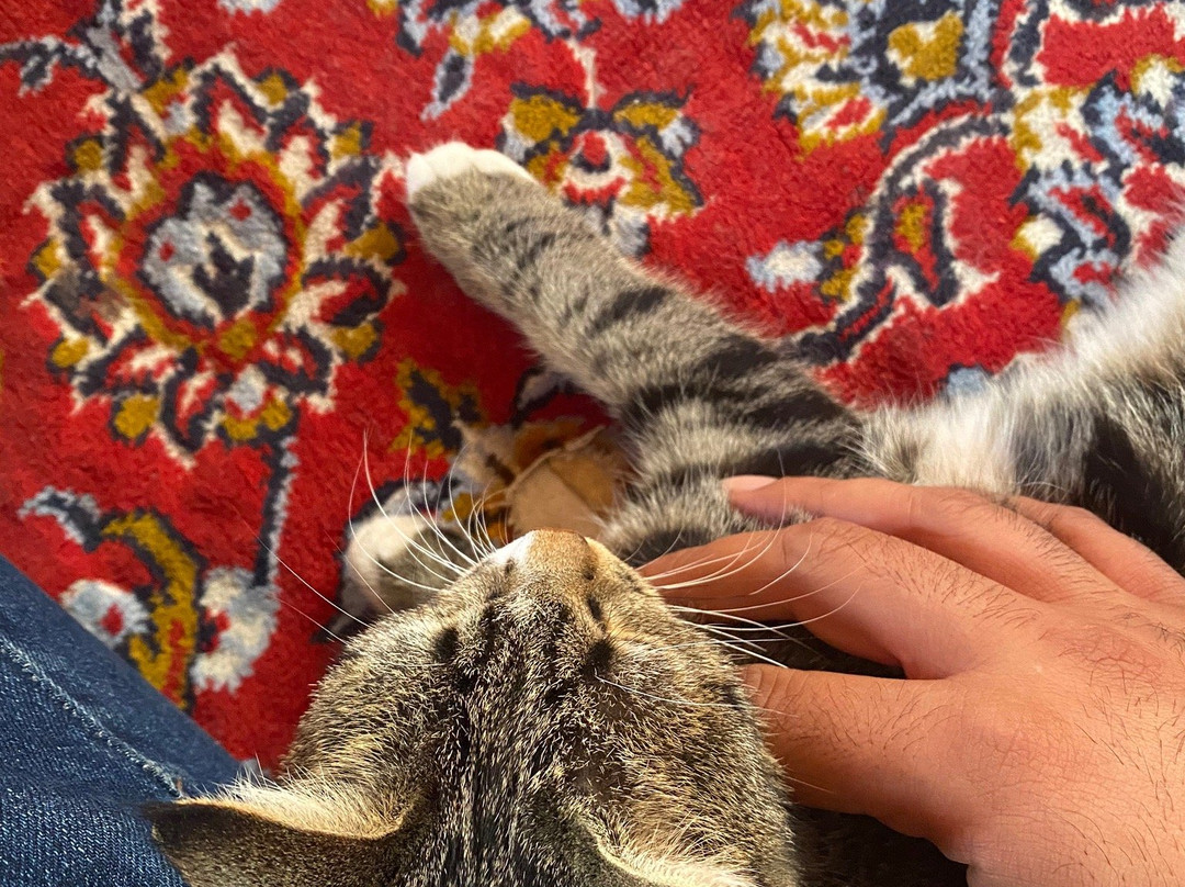 Ateshooni Guesthouse主图