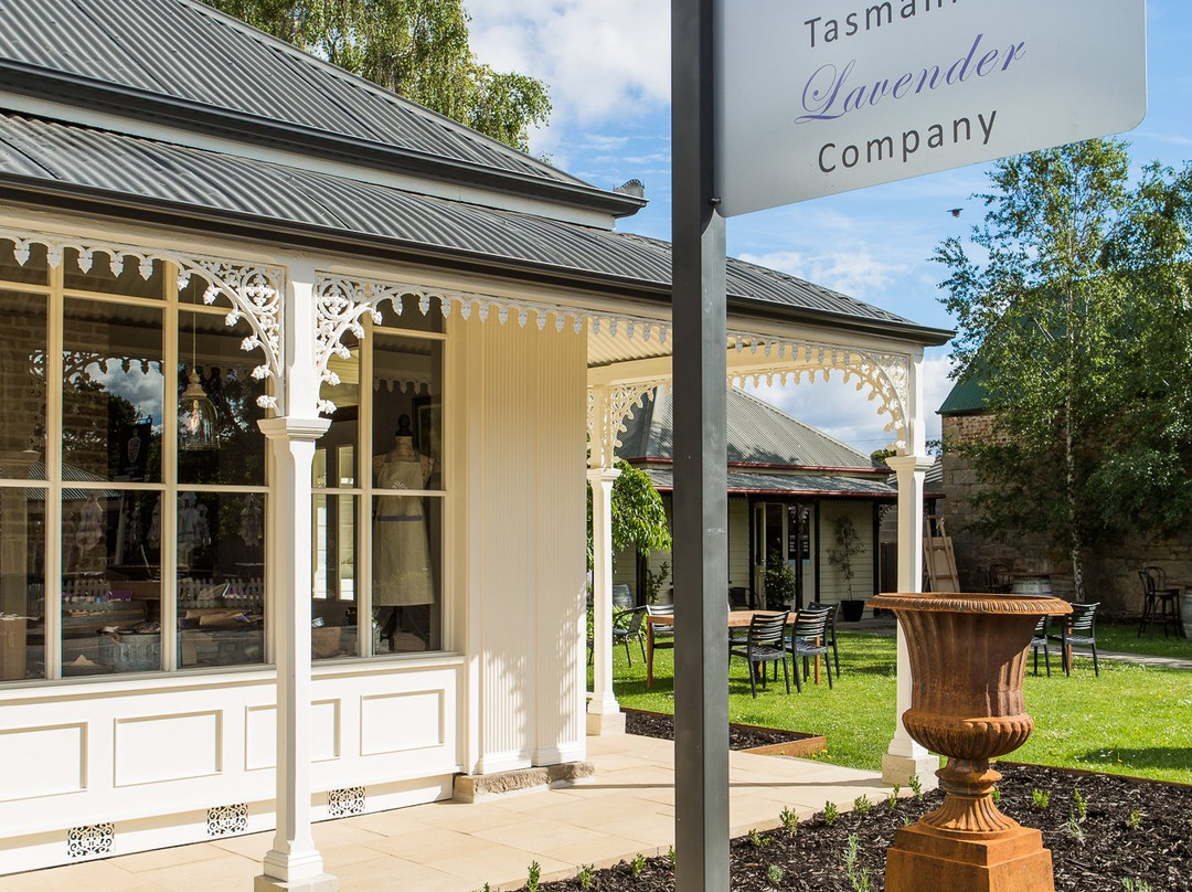 Tasmanian Lavender Company-Richmond必去景点