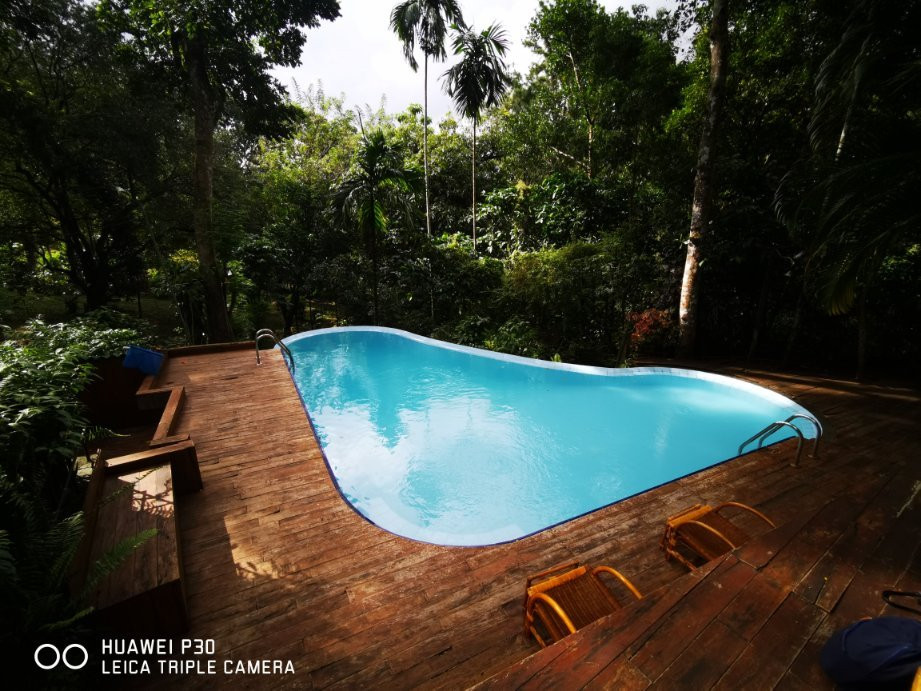 Le Leopard D' Argent主图