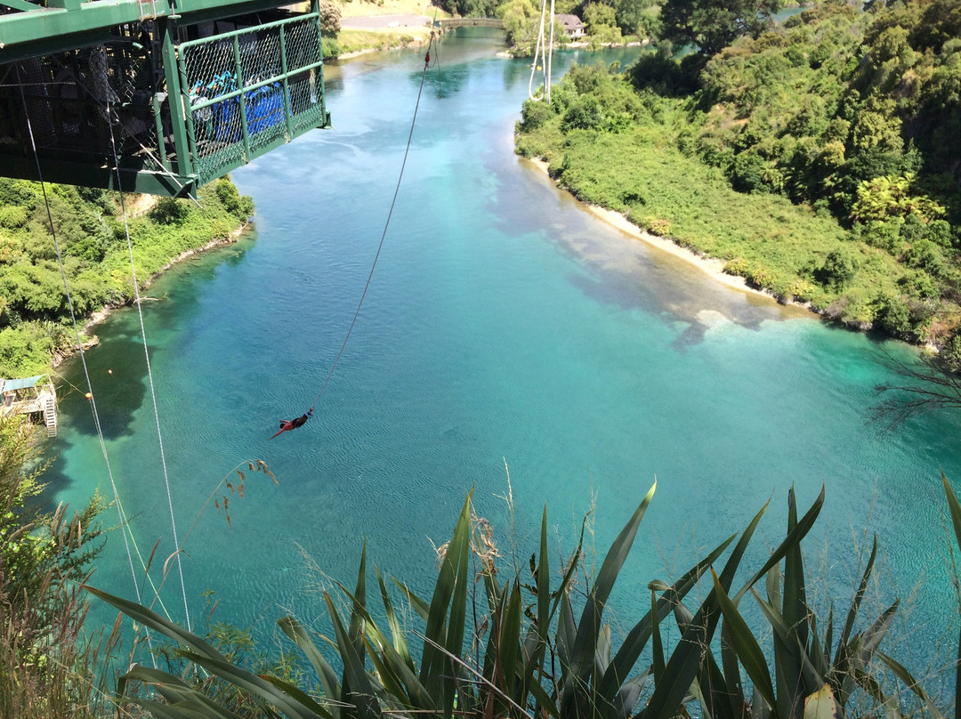 Taupo Bungy & Swing景点图片