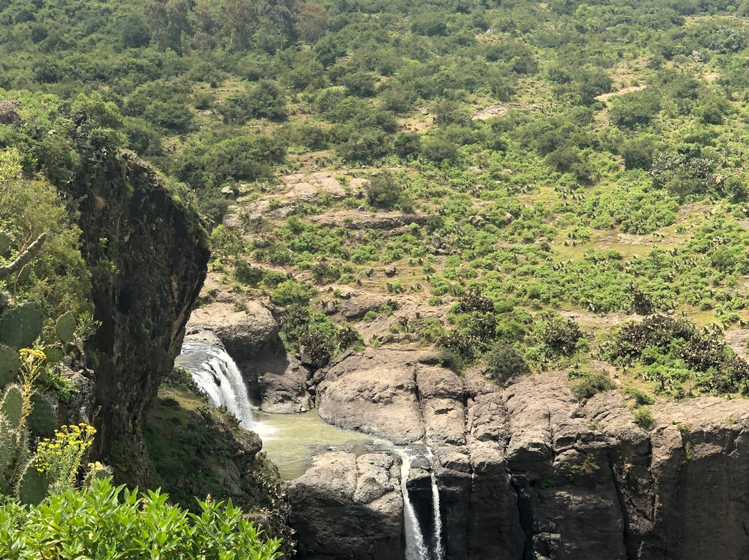 WALK IN ETHIOPIA TOUR AND TRAVEL-亚的斯亚贝巴必去景点