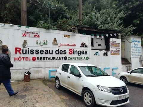 Ruisseau des singes景点图片