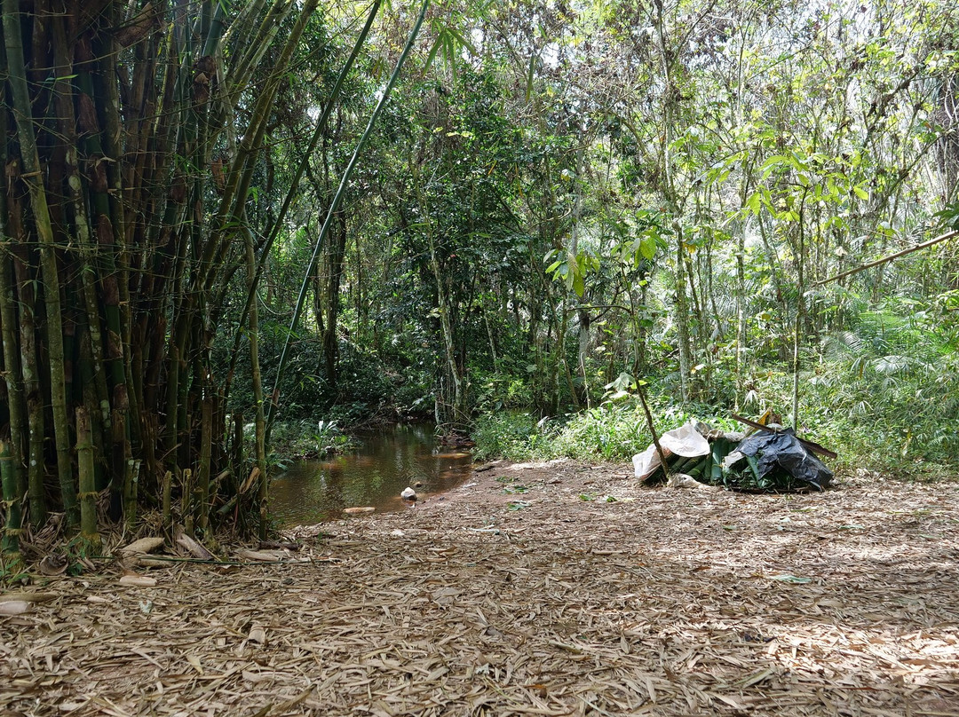 Erin Ijesha Waterfall (Olumirin Waterfalls)-Ijebu-Jesa必去景点