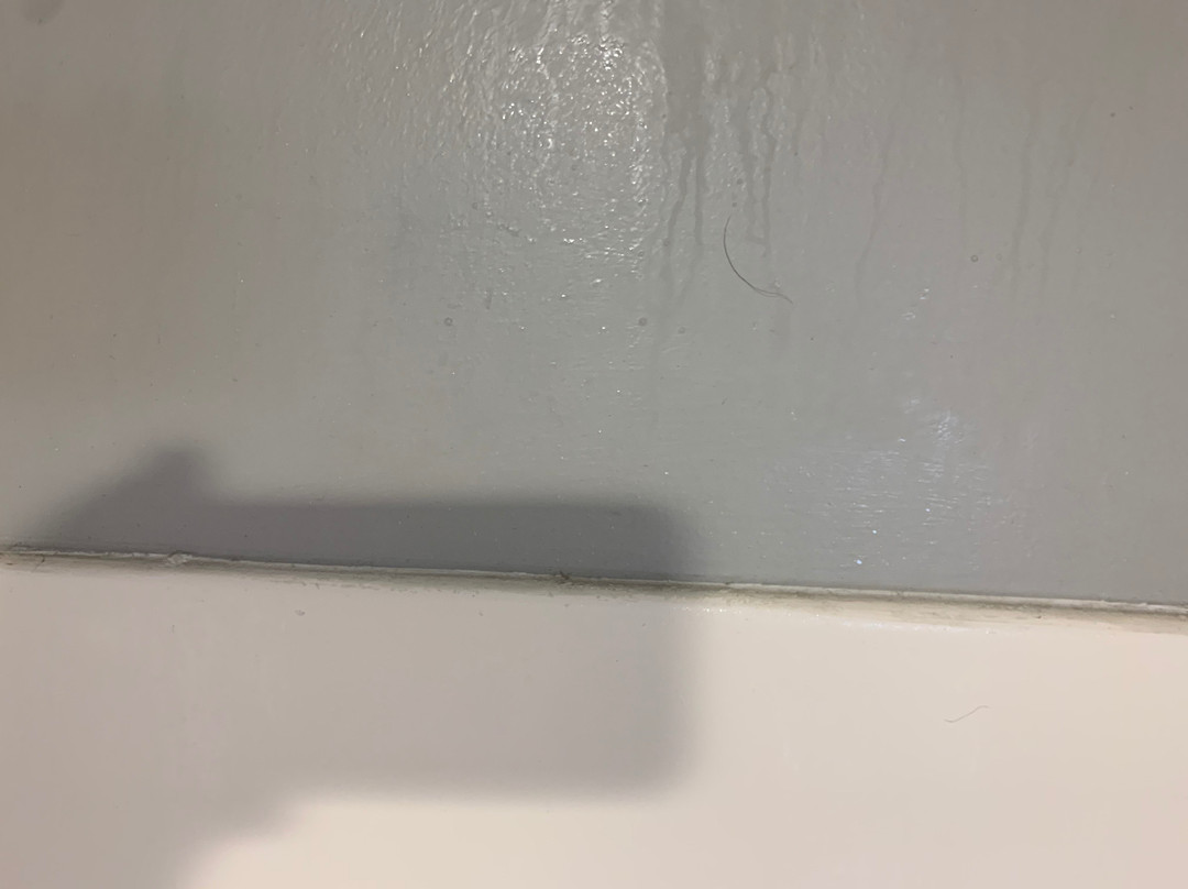 SureStay Plus By Best Western Sevierville主图