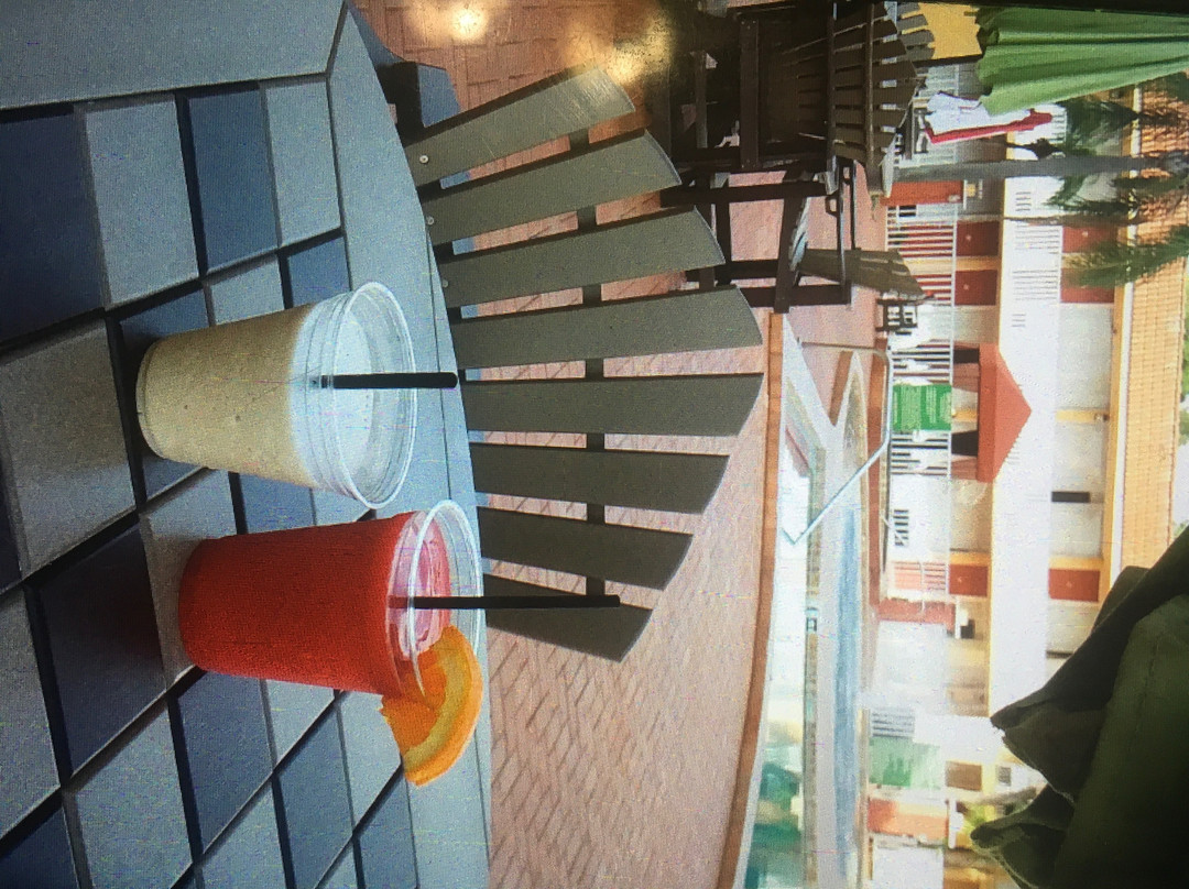 Quality Inn & Suites Tarpon Springs South主图