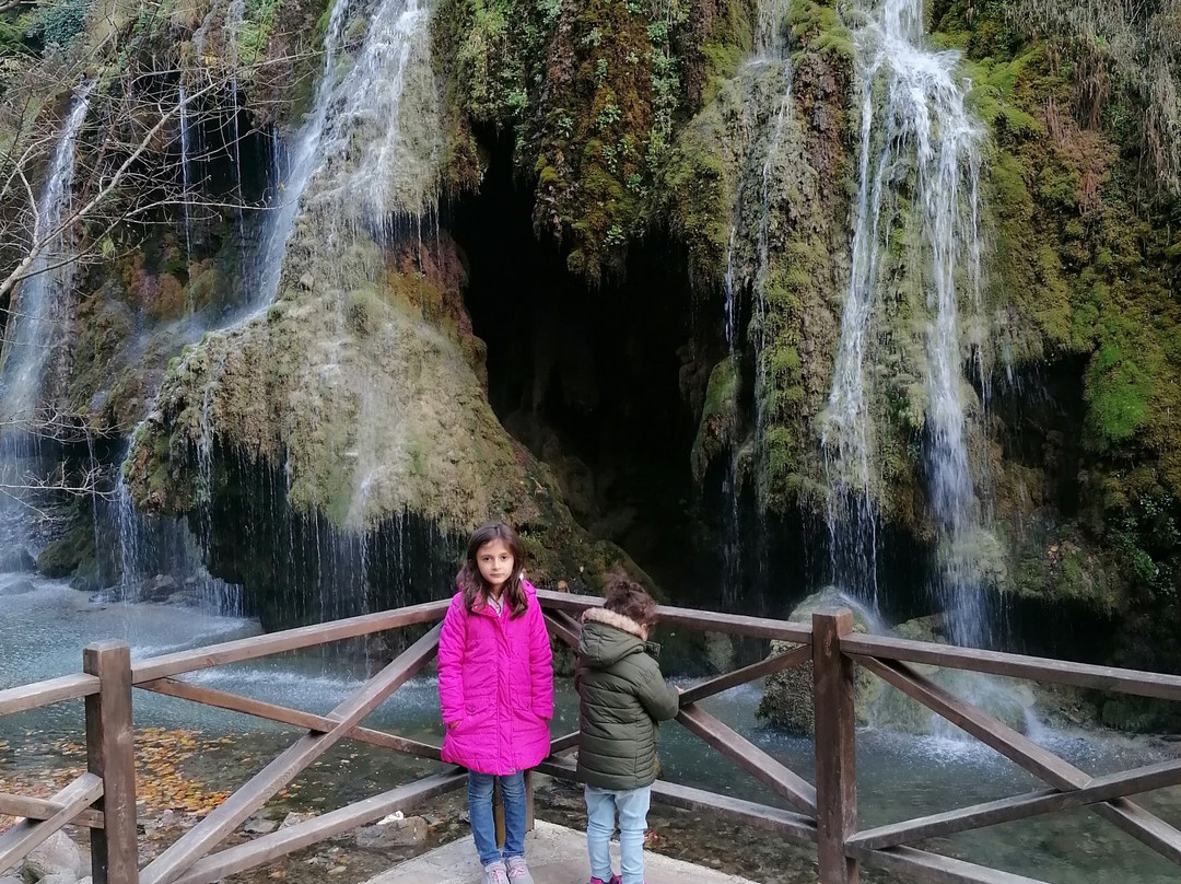 Kuzalan Falls Nature Park景点图片