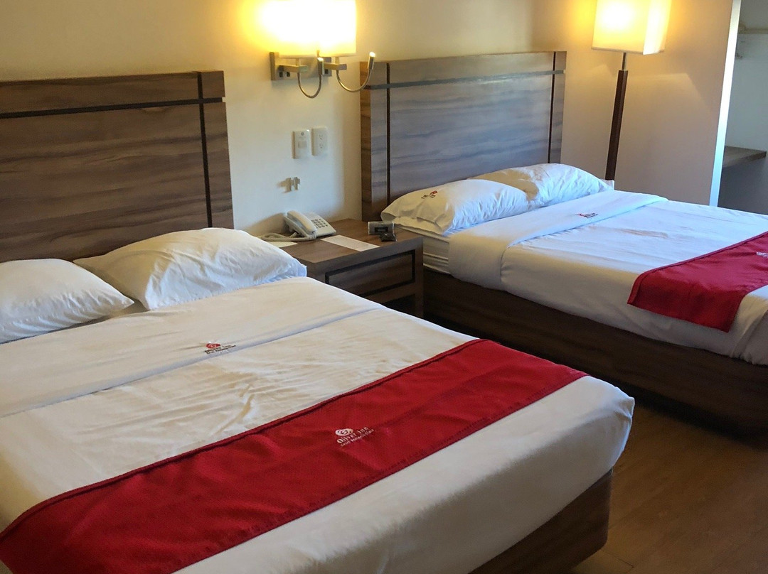 Hotel Oliver Inn主图