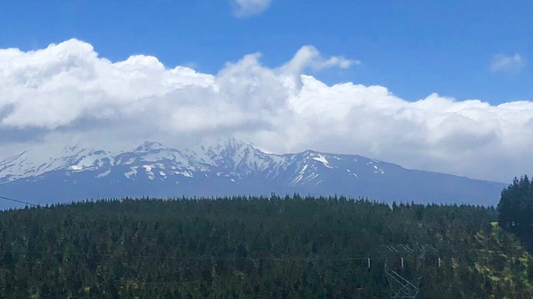 Northern Explorer-Parnell必去景点