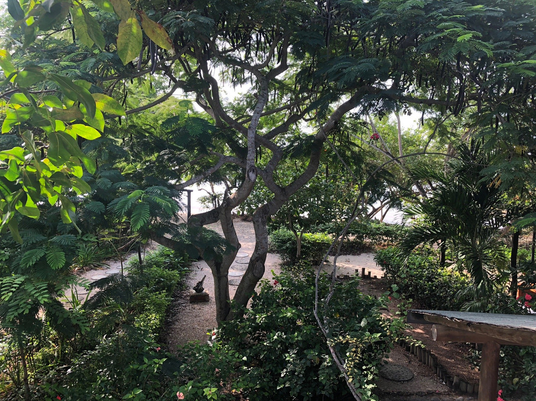 Hotel Playa Manglares主图