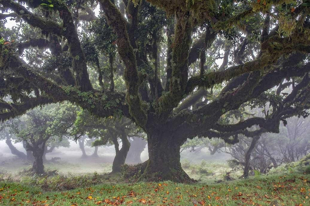 Wandern auf Madeira-马德拉群岛必去景点