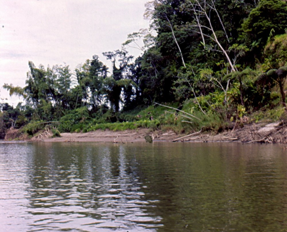 Napo River景点图片