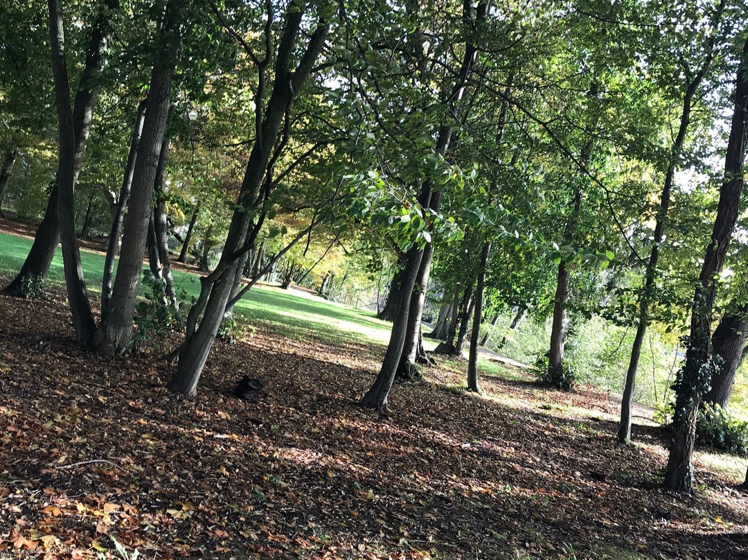 Parc de Champagne景点图片