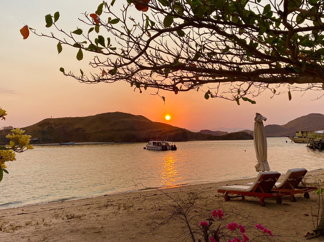 科莫多度假村潜水俱乐部主图