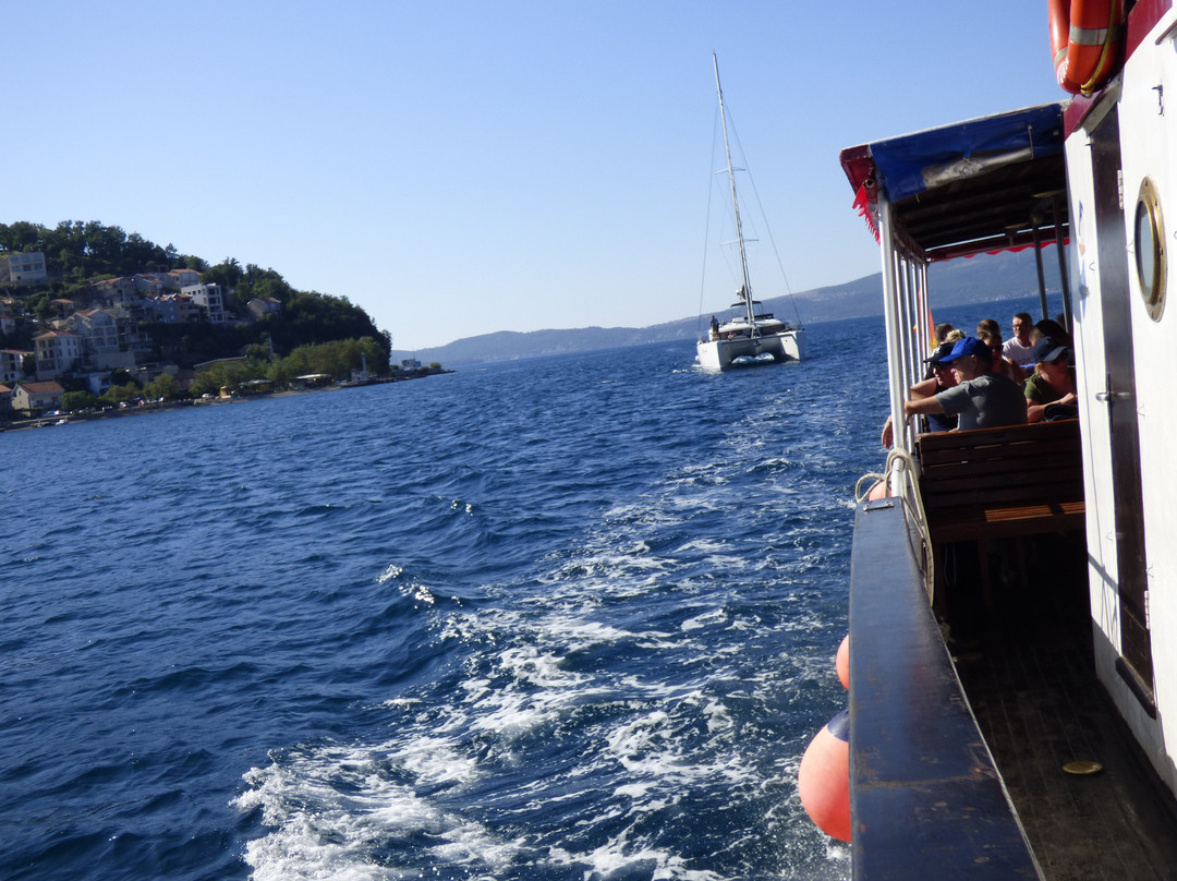 PAJO Boat Tours景点图片