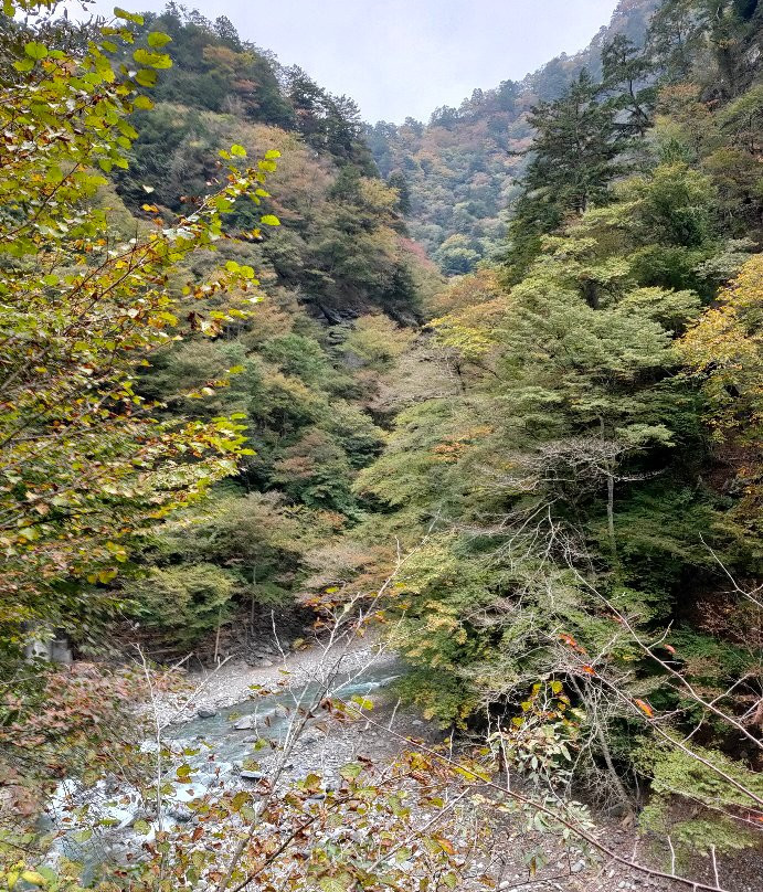 Nakatsu River-秩父市必去景点