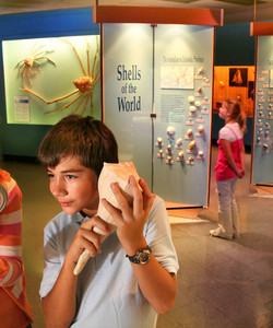 Corpus Christi Museum of Science and History景点门票图片