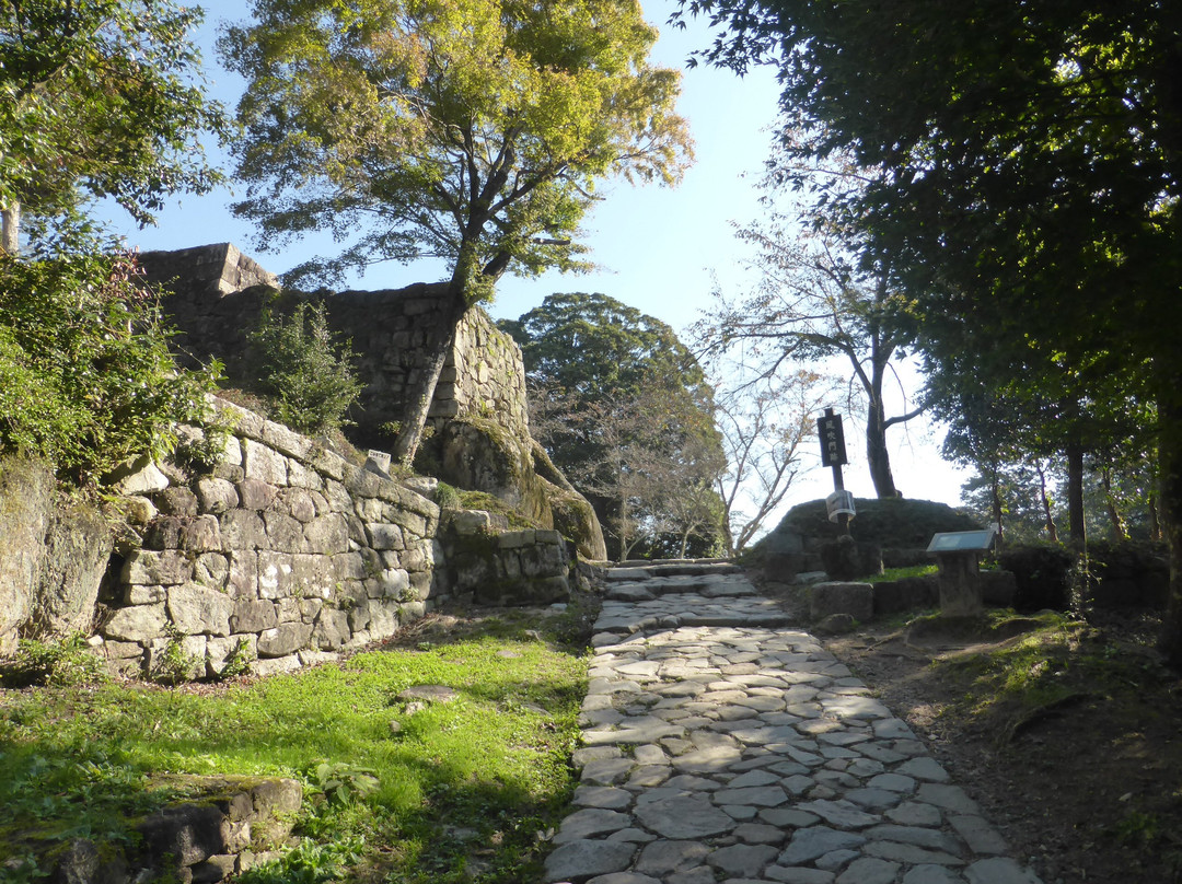 Naegi Castle Ruins景点图片