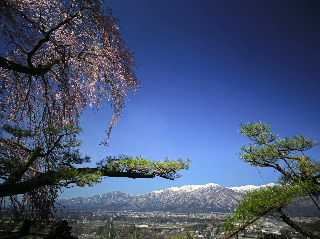 Seirin-ji Temple景点图片