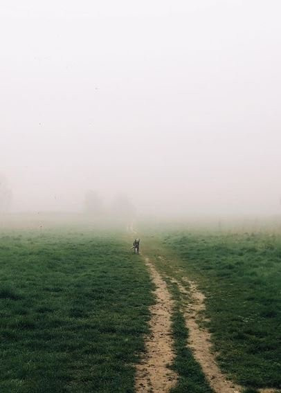 Scadbury Park景点图片