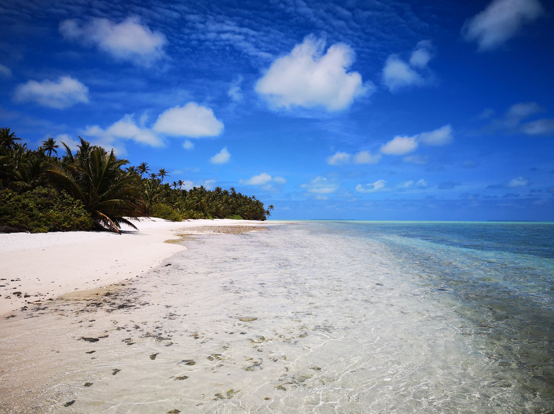 Scout Park-West Island必去景点