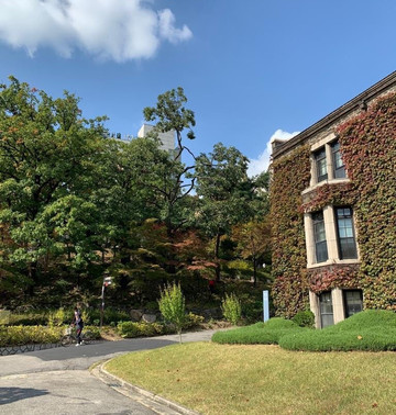 新村-首尔必去景点