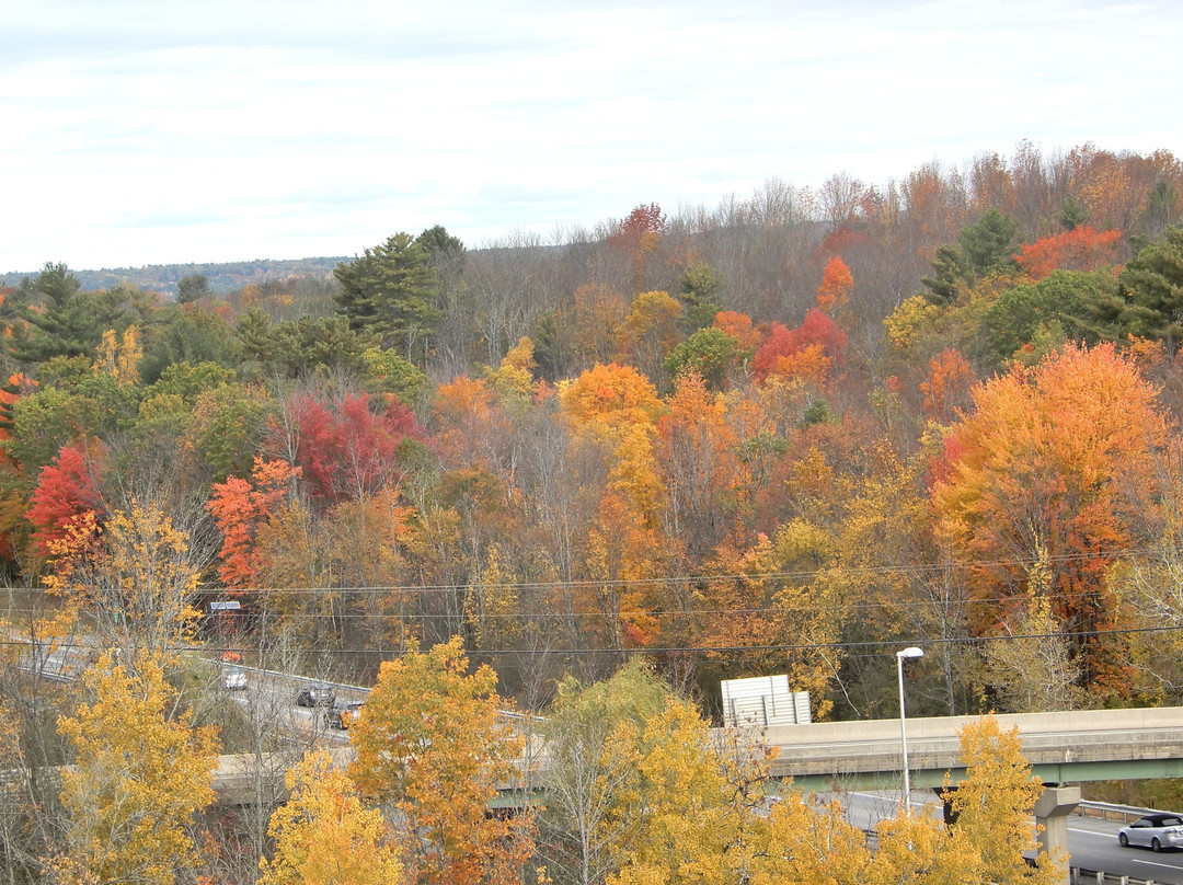 Homewood Suites By Hilton Augusta, Me主图